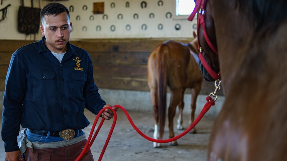 1st Cav Div Horse Det Farrier