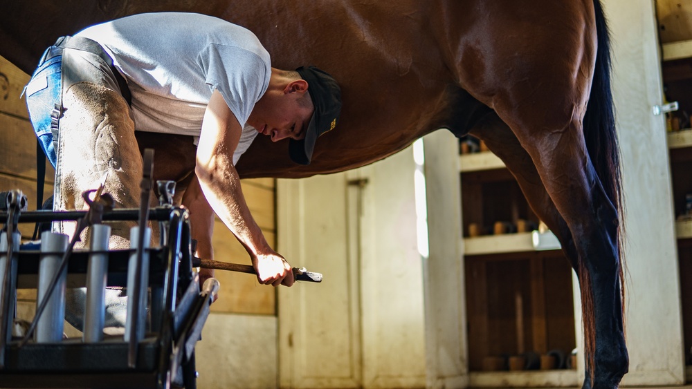 1st Cav Div Horse Det Farrier