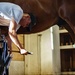 1st Cav Div Horse Det Farrier