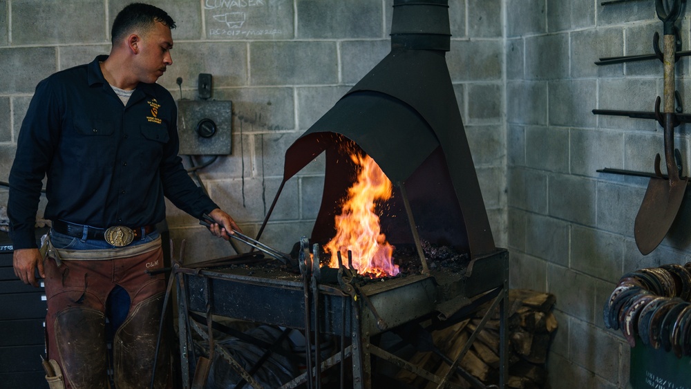 1st Cav Div Horse Det Farrier