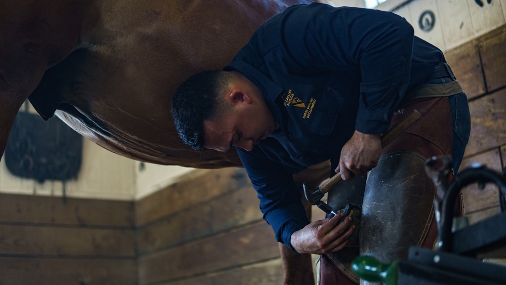 1st Cav Div Horse Det Farrier