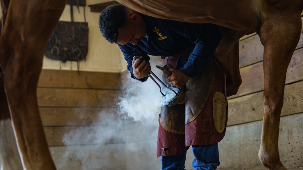 1st Cav Div Horse Det Farrier