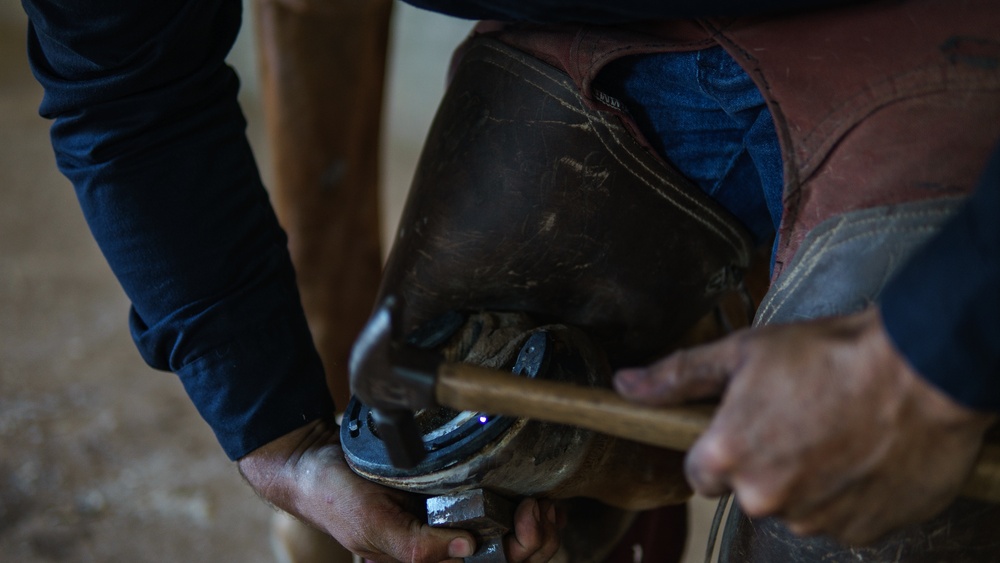 1st Cav Div Horse Det Farrier