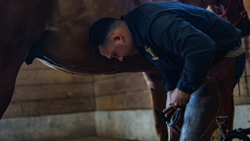 1st Cav Div Horse Det Farrier