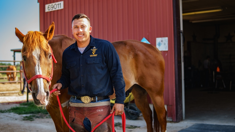 1st Cav Div Horse Det Farrier