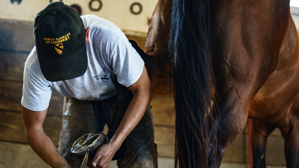 1st Cav Div Horse Det Farrier