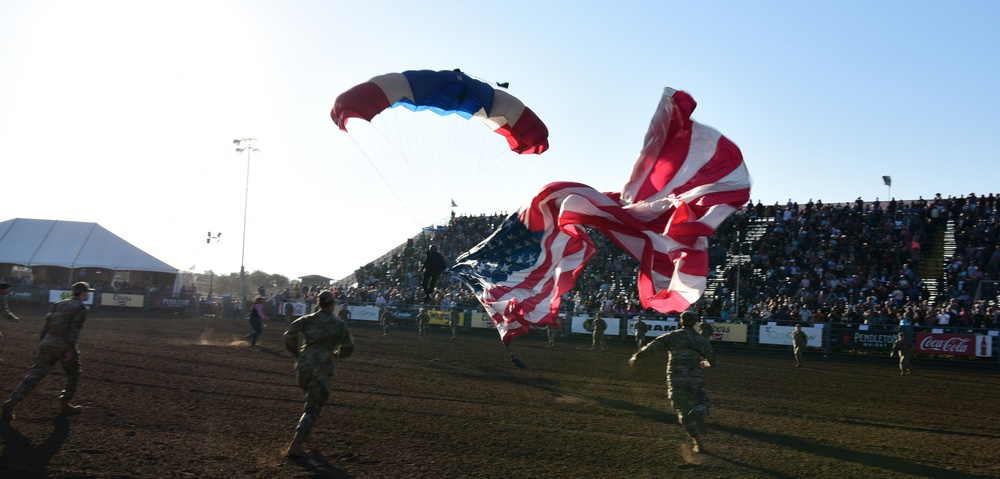 Patriotism Soaring Through the Air
