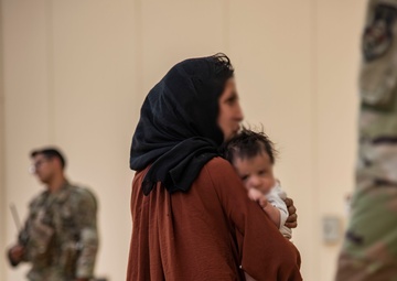 Noncombatant evacuation operations