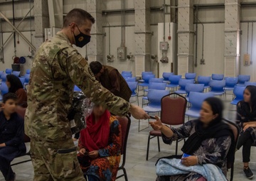 Noncombatant evacuation operations