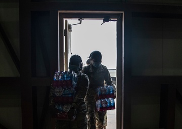 Noncombatant evacuation operations