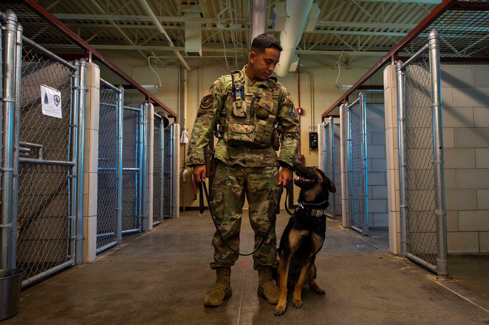 Raise the Woof
