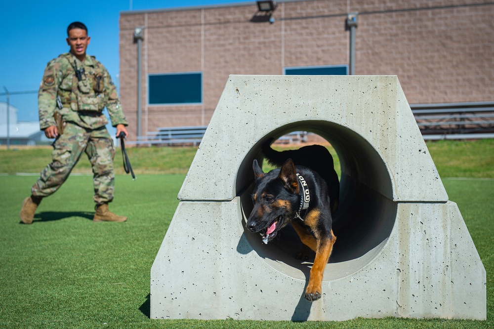 Raise the Woof