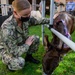 NMRTC San Diego Hosts Mini Horses for Therapy