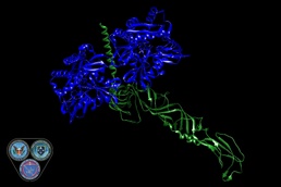 Off Target. Dead On.