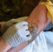 US Navy Corpsman assigned to Naval Mobile Construction Battalion 5 train at Project Valkyrie