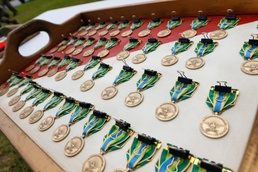 Marne Air Soldiers receive Armed Forces Service Medal.