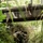 9th ESB Marines practice defensive construction capabilities at Jungle Warfare Training Center