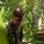9th ESB Marines practice defensive construction capabilities at Jungle Warfare Training Center