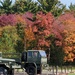 2021 Fall Colors at Fort McCoy's Equipment Park
