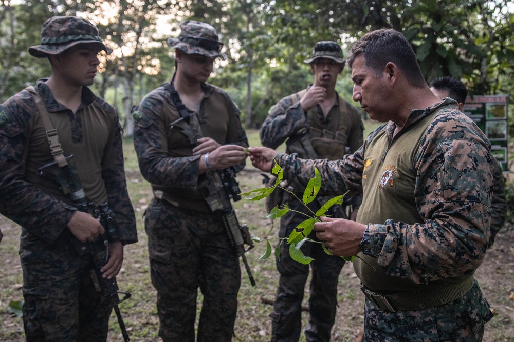 UNITAS 2021: U.S. Marines participate in Peruvian jungle survival course