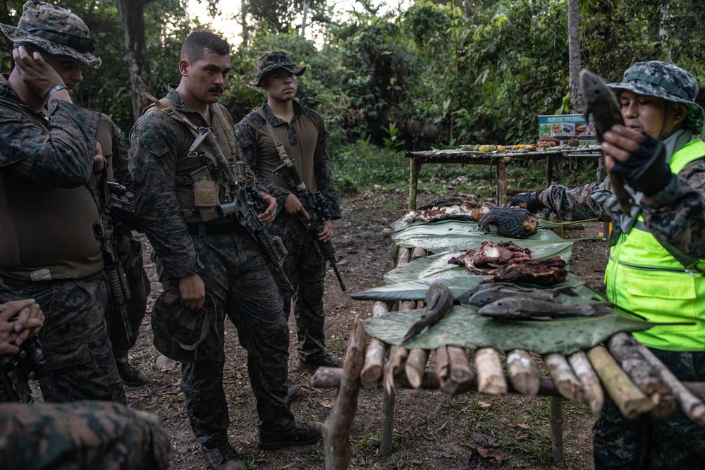 UNITAS 2021: U.S. Marines participate in Peruvian jungle survival course