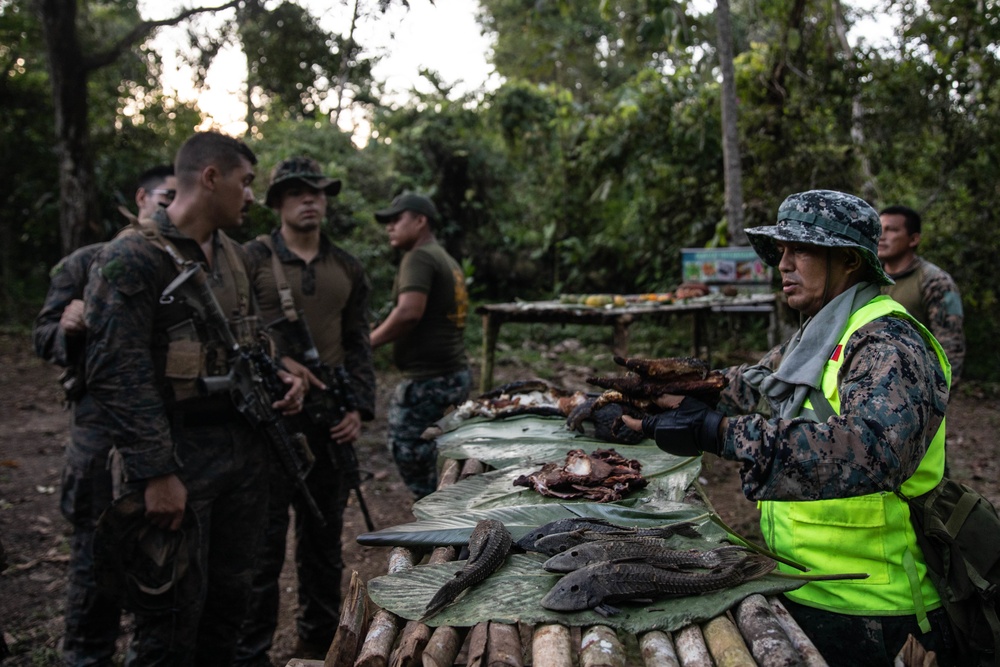 UNITAS 2021: U.S. Marines participate in Peruvian jungle survival course