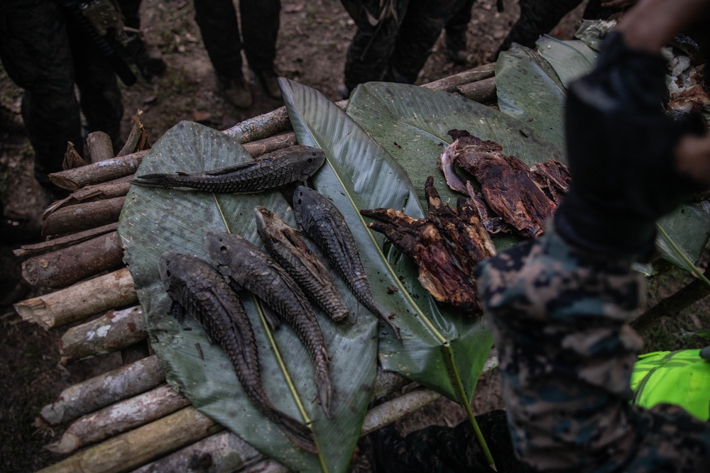 UNITAS 2021: U.S. Marines participate in Peruvian jungle survival course