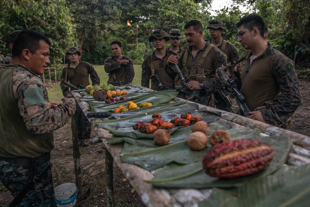 UNITAS 2021: U.S. Marines participate in Peruvian jungle survival course