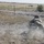 1st Battalion 8th Infantry Regiment Soldiers conduct platoon live fire exercises Sept. 24, 2021