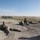 1st Battalion 8th Infantry Regiment Soldiers conduct platoon live fire exercises Sept. 24, 2021