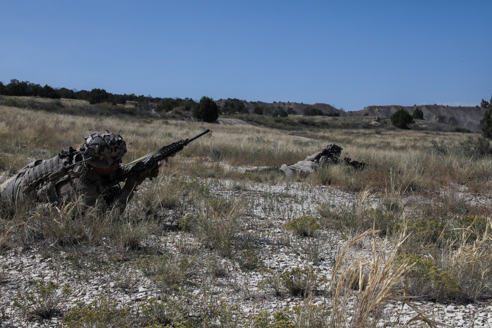 1st Battalion 8th Infantry Regiment Soldiers conduct platoon live fire exercises Sept. 24, 2021