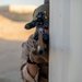 11th MEU ADRD conducts simulated raid in Kuwait