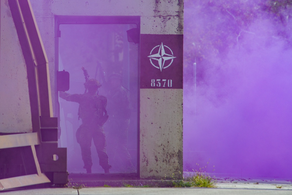 31 FW hosts Steadfast Nomad 2021 with NATO Allies
