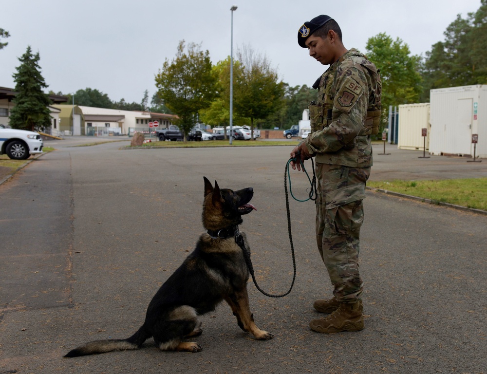 Upgraded kennel brings MWDs home