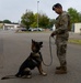 Upgraded kennel brings MWDs home