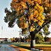 Fall Colors and the American Flag at Fort McCoy