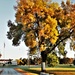 Fall Colors and the American Flag at Fort McCoy