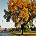 Fall Colors and the American Flag at Fort McCoy