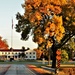 Fall Colors and the American Flag at Fort McCoy