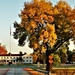 Fall Colors and the American Flag at Fort McCoy