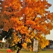 Fall Colors and the American Flag at Fort McCoy