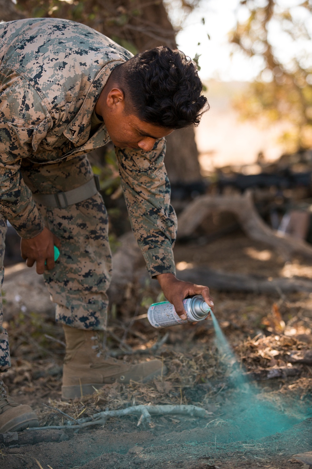 1st Transportation Battalion Field Exercise