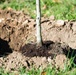 Wright-Patt Plants 26 Trees for National Public Lands Day