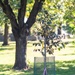 Wright-Patt Plants 26 Trees for National Public Lands Day