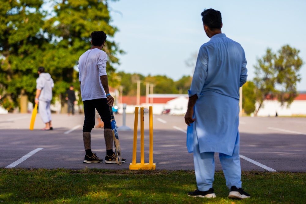 Afghans play cricket at Fort McCoy