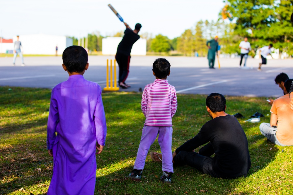 Afghans play cricket at Fort McCoy