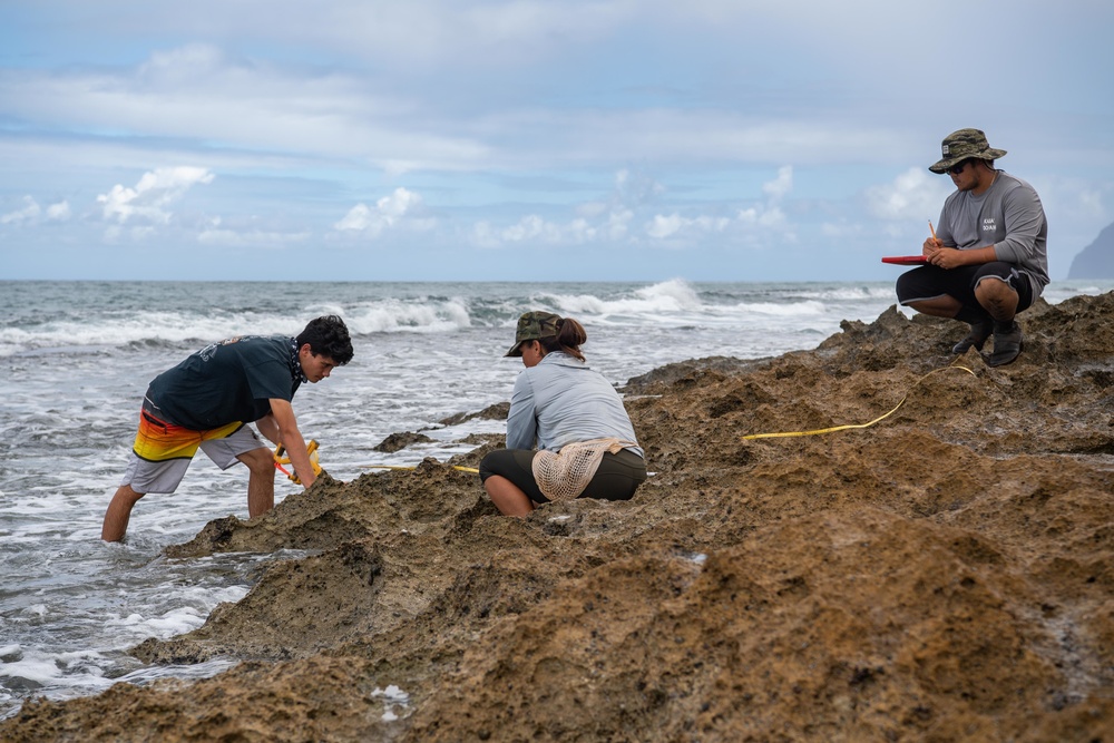 Pacific Missile Range Facility (PMRF) Intertidal Survey