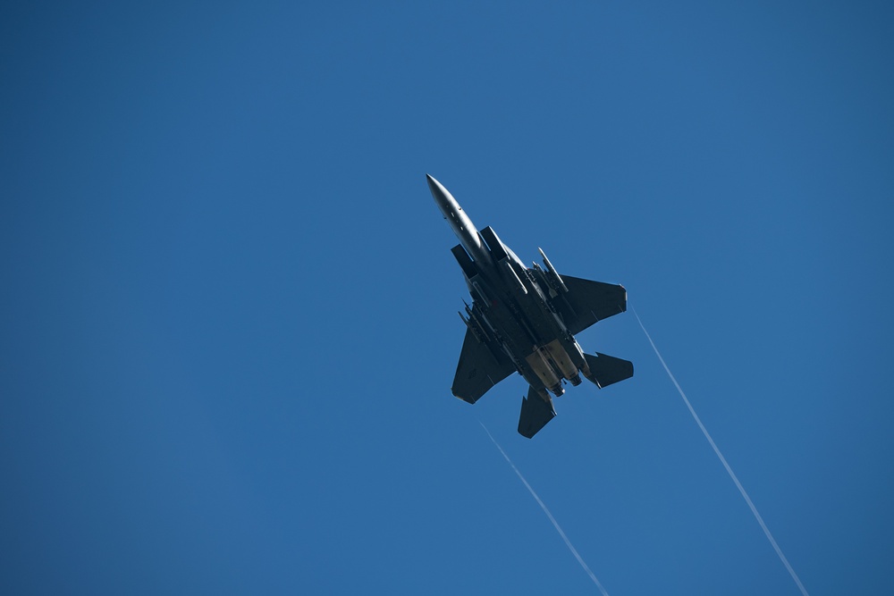 492nd Fighter Squadron Flying into the Blue