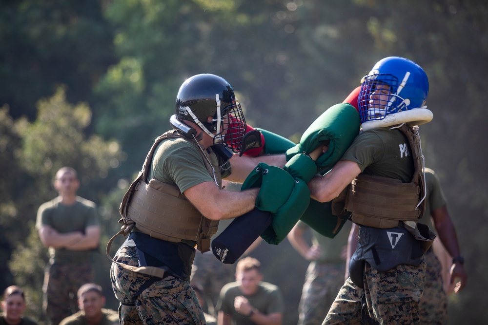 Marine Fighter Attack Training Squadron 501 Warlord Games