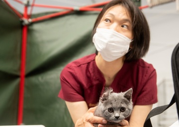 Fleet Activities Yokosuka Veterinary Treatment Facility Hosts Ikego Clinic